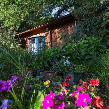 Lavenderin Lodges Ramot Naftali Zewnętrze zdjęcie